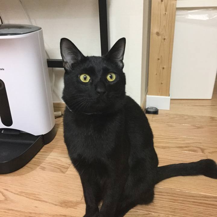 78934ab5 df3b 4e9a b8fa 524831f72061