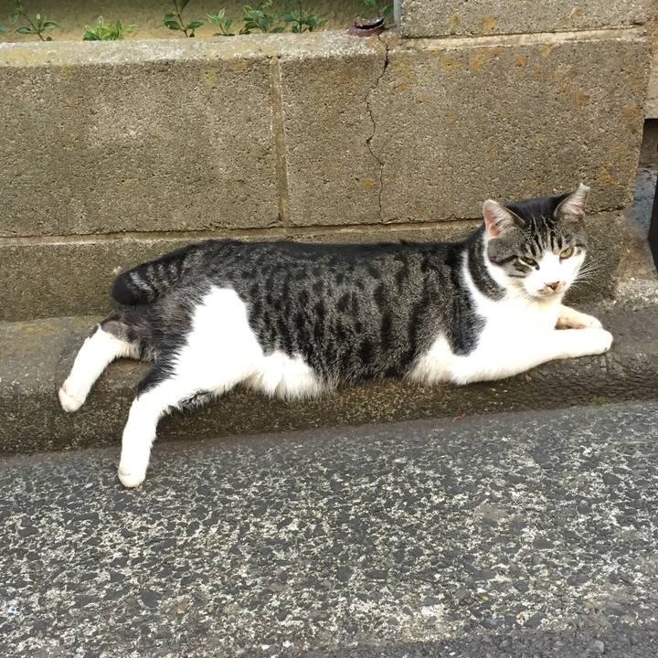 789386a5 7984 41de bb2a 8f49e4f04797