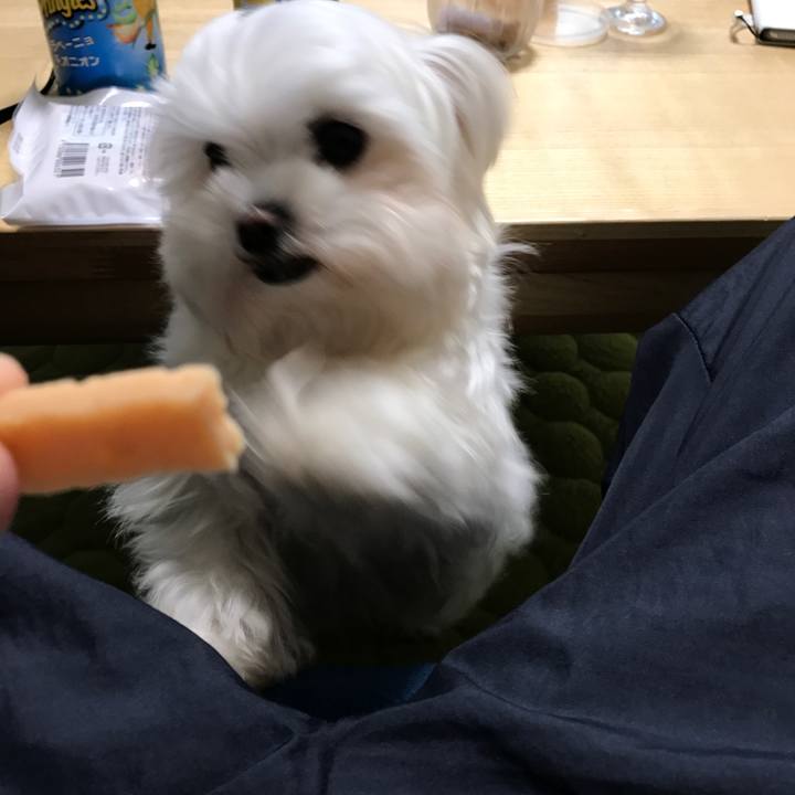 7893cf1f 5b11 46fb bf49 fa032e9a65d2