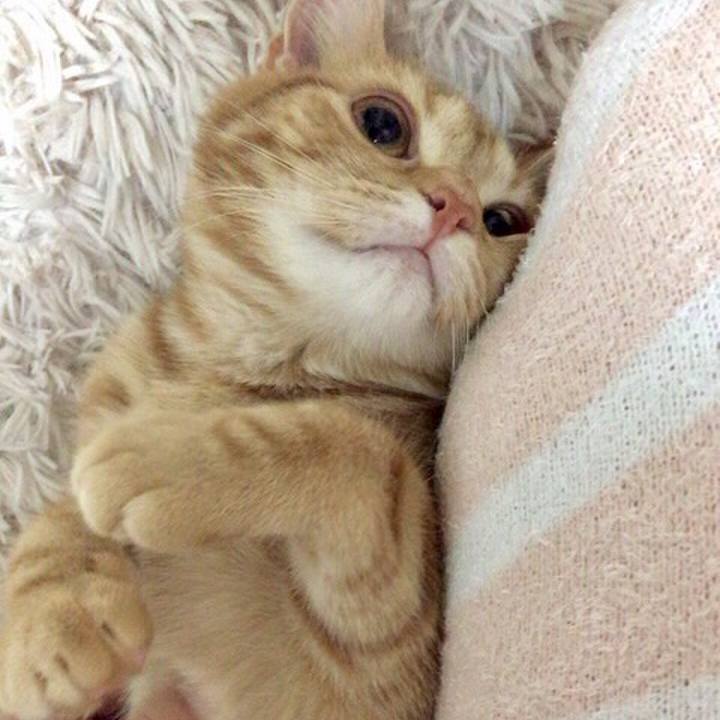 7893ec02 4aa2 4835 8eb6 32d447c407bf