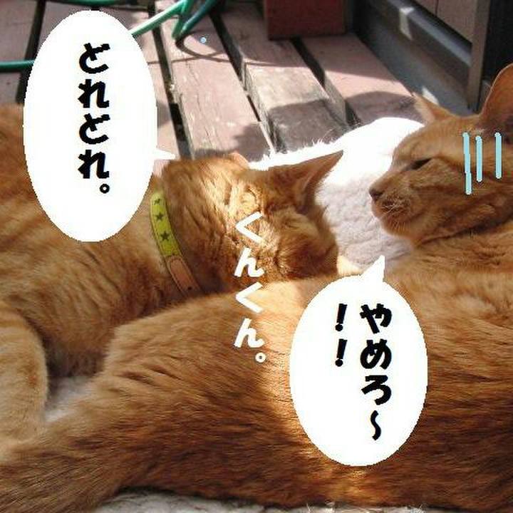 78942045 bf0f 427d bfbb da7458d39dbc