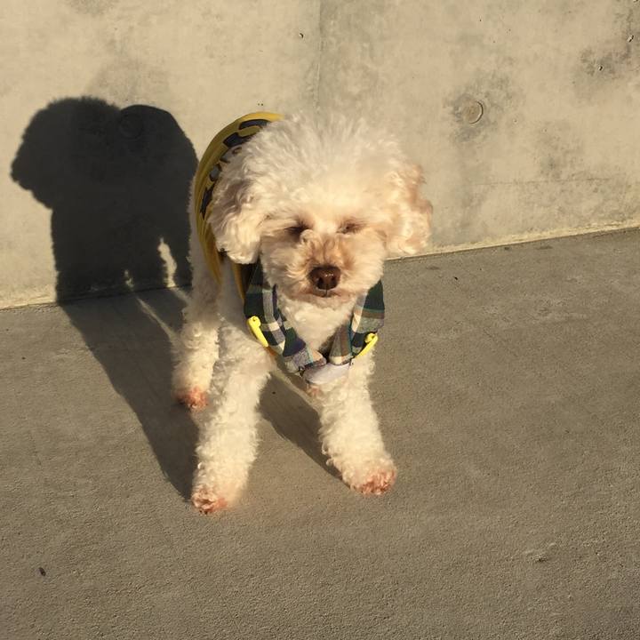 7894af60 735a 424d 8088 500a83bcad84