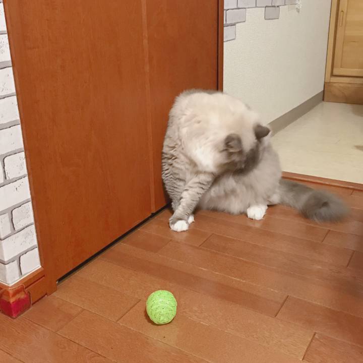 7894db68 9107 43bb 8c49 77f1a182381c