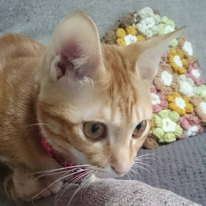 78954058 4e84 4141 a9ad c0a8db203ebd