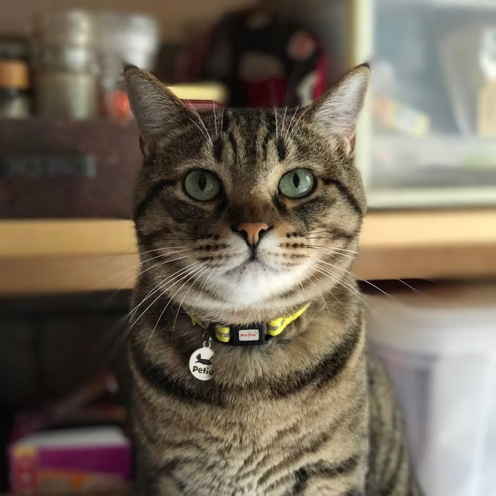 78957878 62d8 46da ace1 727f766fdb0a