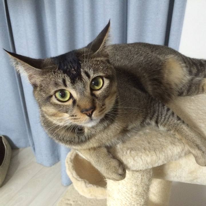 7895be64 a1ff 4e47 a690 47120e2ca293