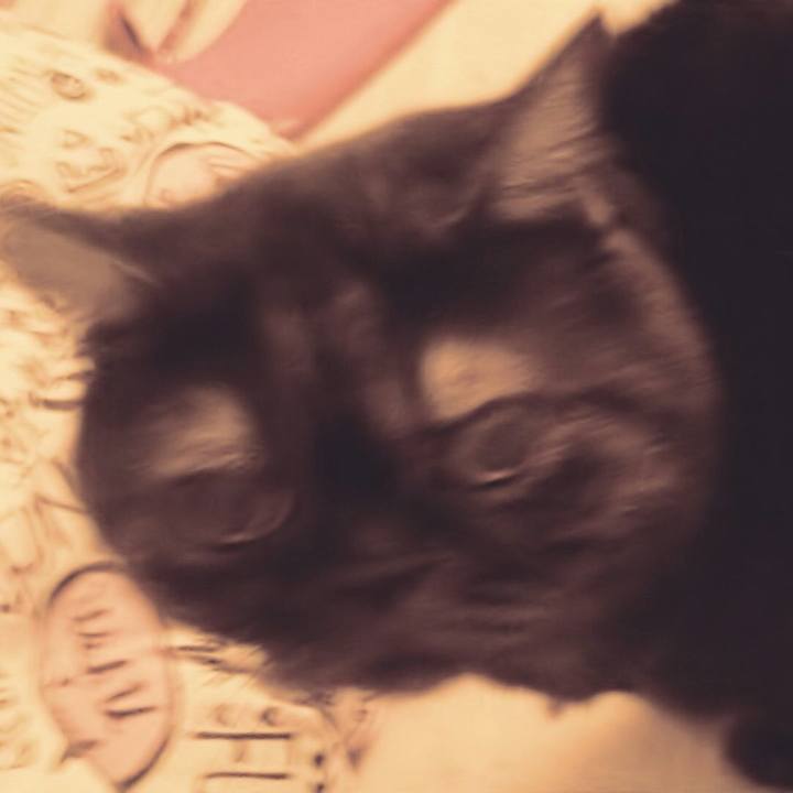 7895f645 1ce2 4f9c 998f 69646f9ea86b