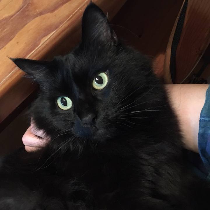 7895ff77 b9e3 49c3 b4ad 4816f06755d4