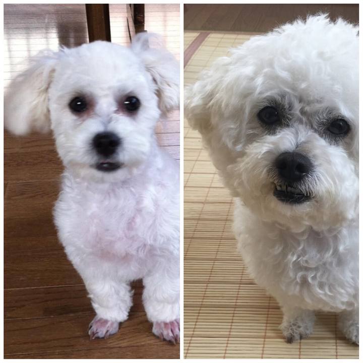 7896638d f6bb 40ca a075 2161402bba73