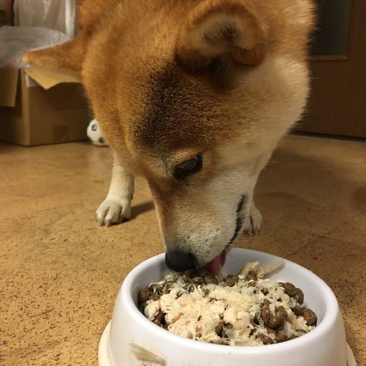 78972197 386a 4367 aa4e bb8f1a1af1a1