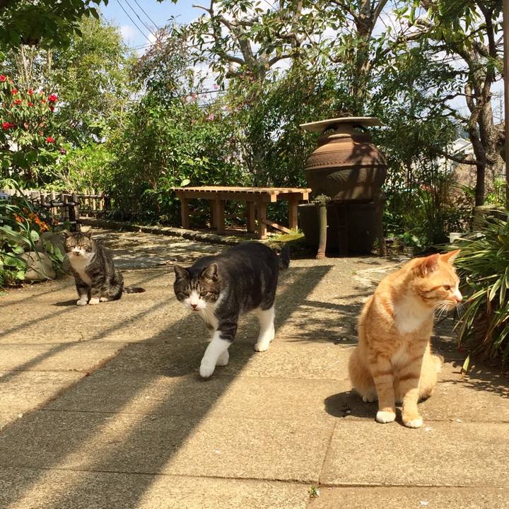 789791a7 f2f8 4502 bb4f 94e3fa79b5ad