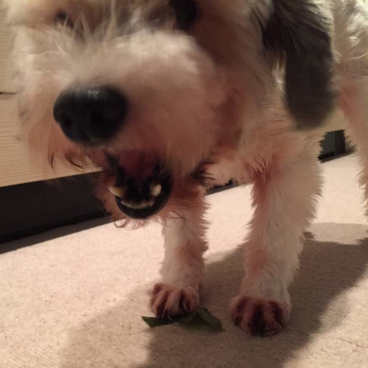 7897f83c 1e00 4585 9f0a 048c8f927c2b