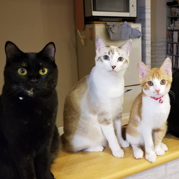 78981be8 e48c 4788 9205 392b08b6f6fc