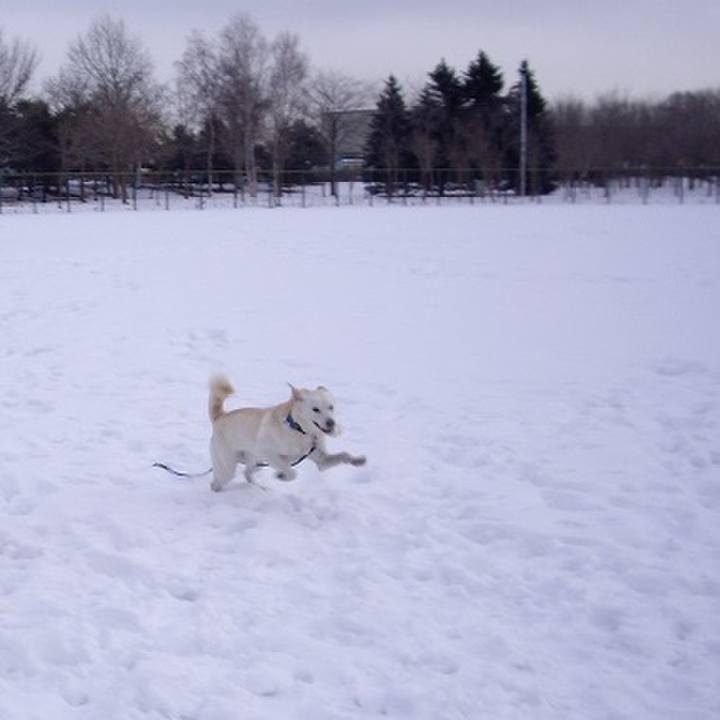 7898b0fc c3a2 4db4 acd1 df9566cedd40