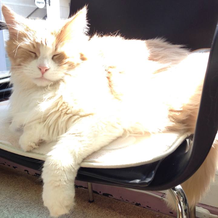 78991043 78a7 497a adcb 91dd87849e4d