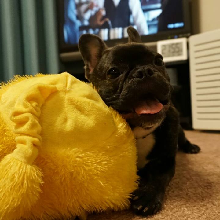 78992f11 d2e7 4d40 bb41 c613d645ab44