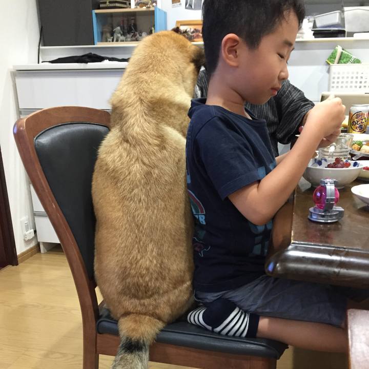 78993ecc 18bf 437e 9bdd 96c0b8a7c9f5