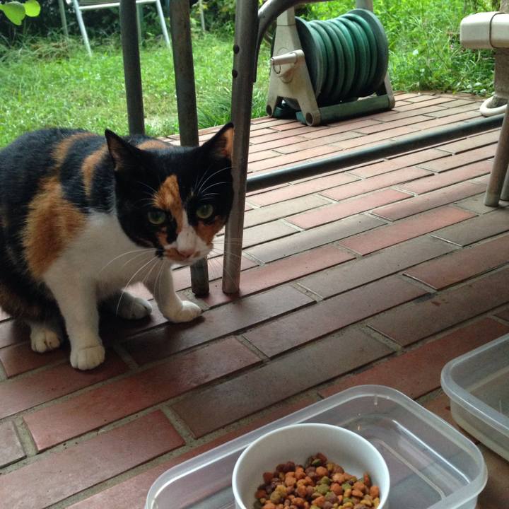 78994b57 fcb3 40bd b0fc a7fa925cc553