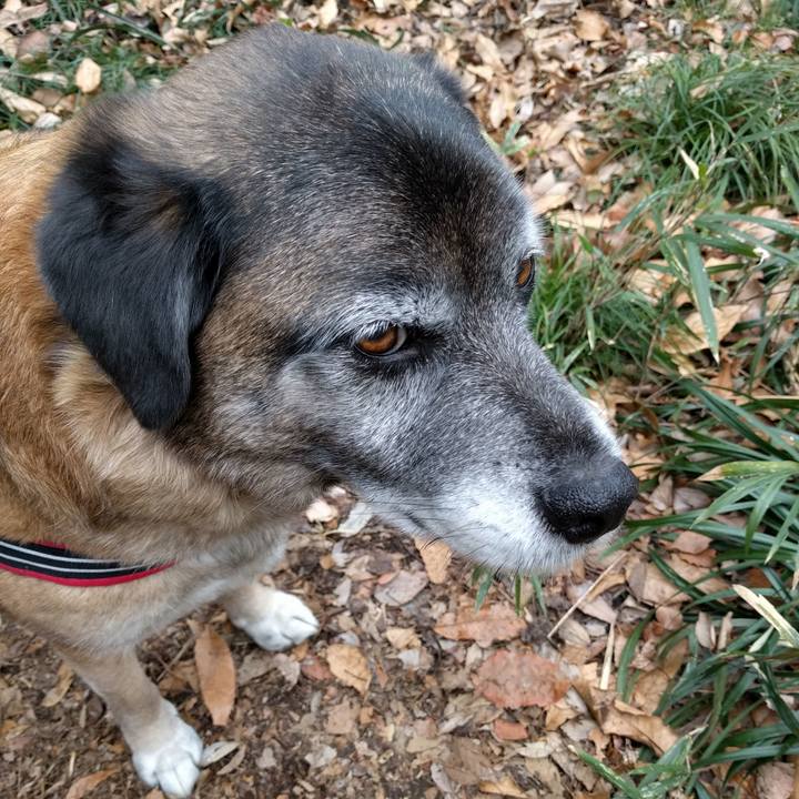 789a5848 3be3 4416 9555 2f4cbea4aca3