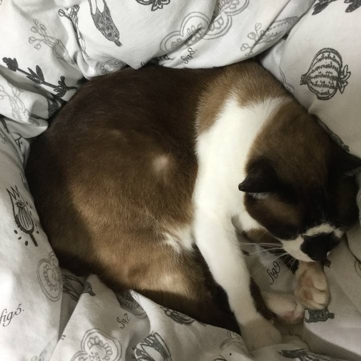 789bbb6e 69a9 490a 9960 1799ae64a7ad