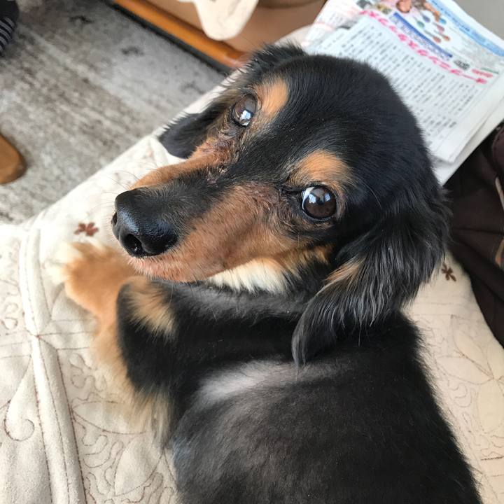 789c0f87 37e7 4cbc 8add f3ec4f7dadc3