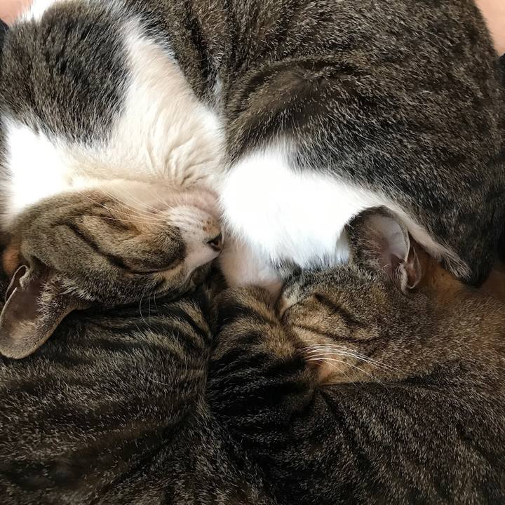 789cd95d 36da 4100 a816 a7a085e628c3