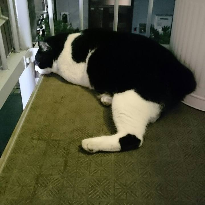 789cda0a 16f9 46e1 ae03 12d20ec223ee