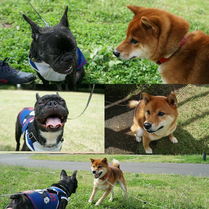 789d0044 bba1 4a5f b8c7 3db66580f3ad