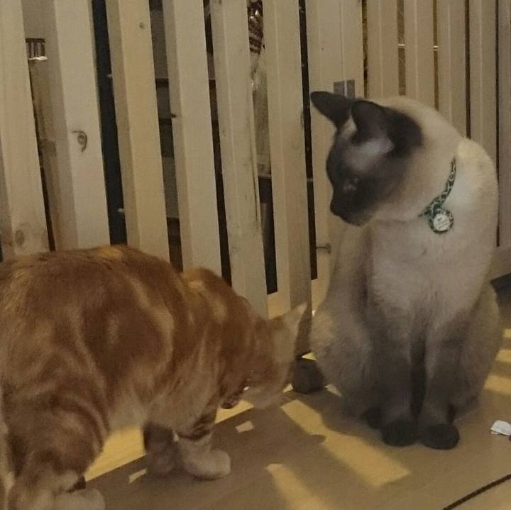 789d3c70 8471 4681 8db4 37fa6624c0d7