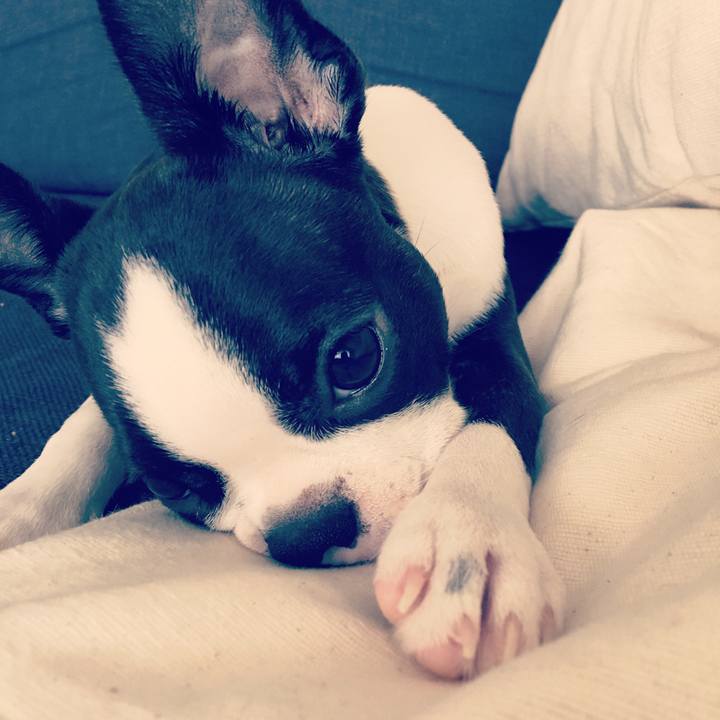 789d52a0 8921 4ff5 96a9 5812f1cf4e32