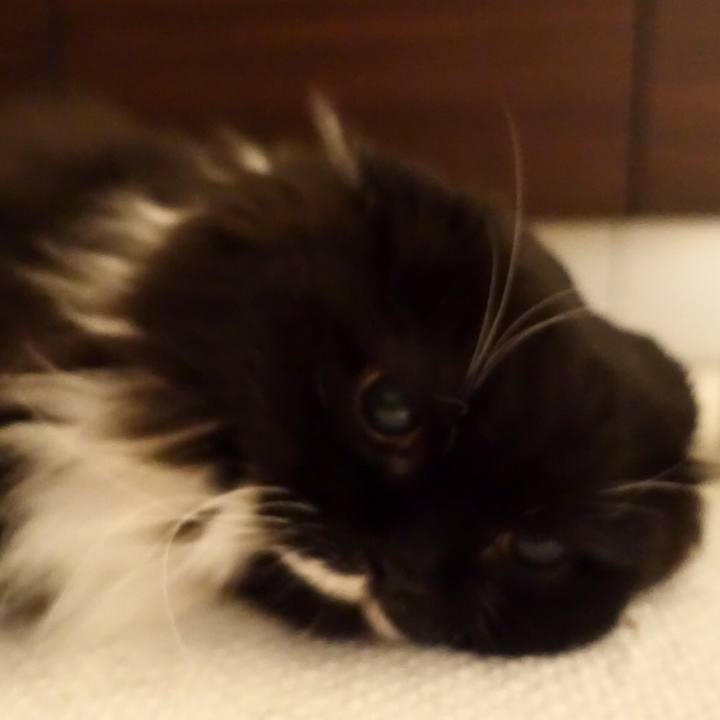 789d673d 31e1 4f55 9fb6 c7f6a5bd4d2d