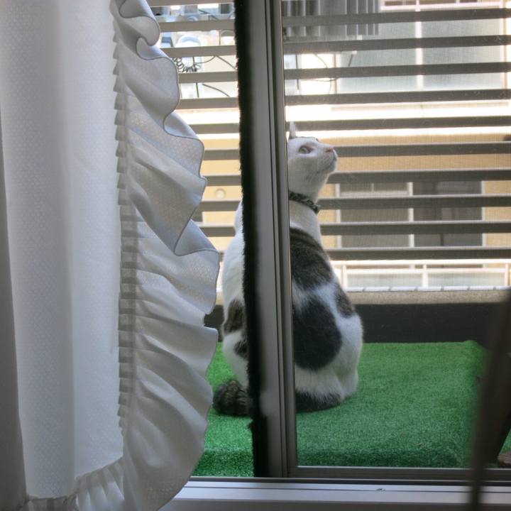 789e1d85 13d8 4d75 8f67 3a91642ab3bb