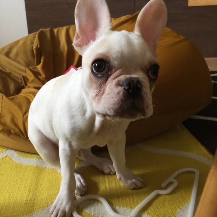 789e8272 956e 4c26 9a6b 33ca09b953a9