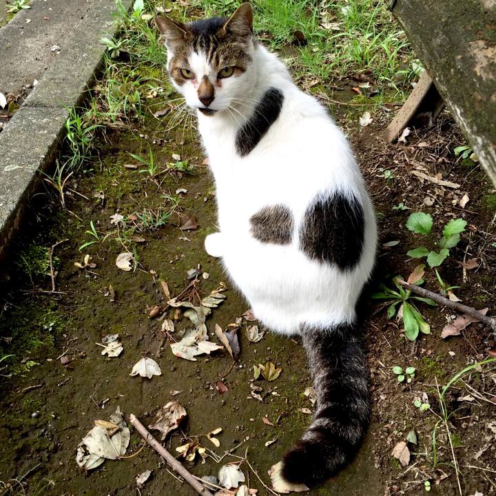 789eaddc 7d4f 4765 aceb 12cc000dd318