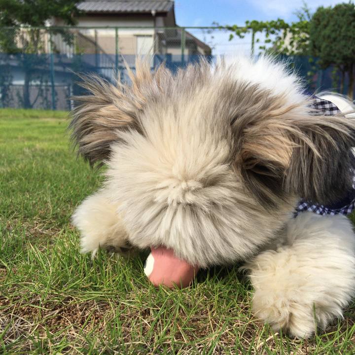 789ec8e9 6020 4c9c b9a5 c622796a5c30