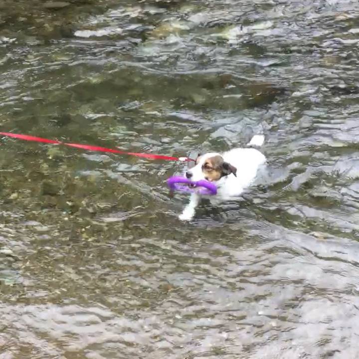 789ec91d 4d91 4a5b aefe 46151a253aea