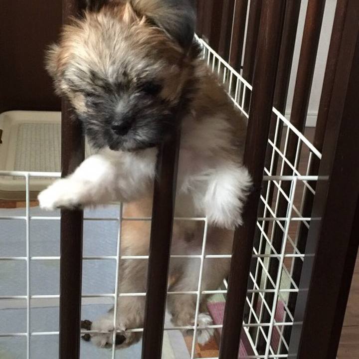 789f15d0 021e 4b80 8fd8 2f2f7dea19fd