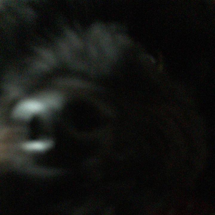 789f839d 4c10 4e76 92ea f9058cffe474