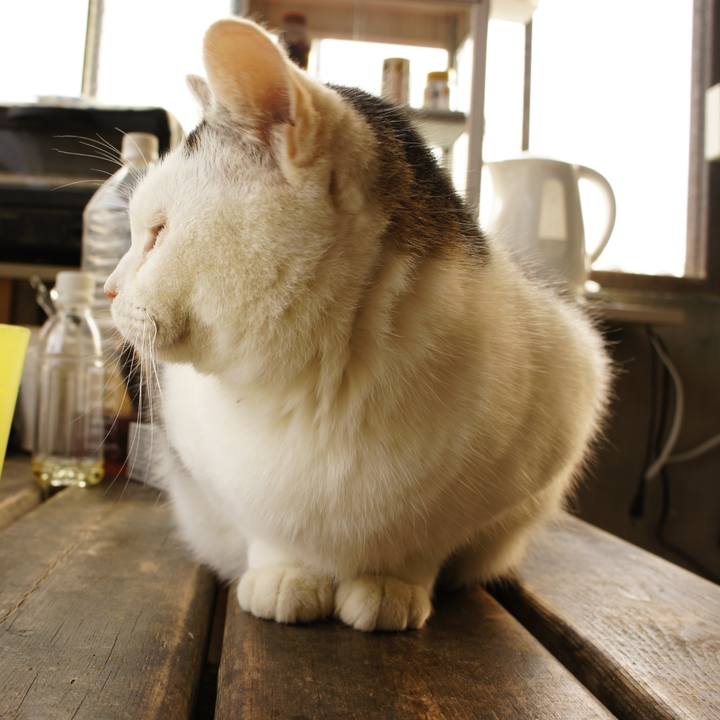 789fa502 a2af 4ae5 a6fa 82eeb7f68569