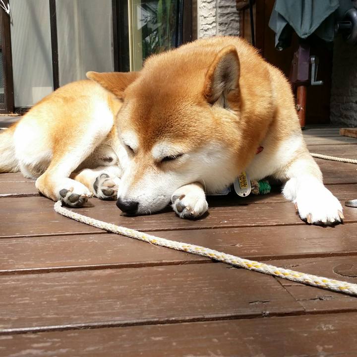 789fae59 6069 4589 bef6 c2727ea69603