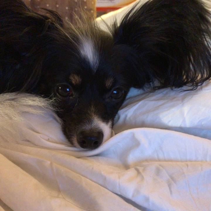 78a0593a ab43 49d5 bf4a cdaaf1dcedd3