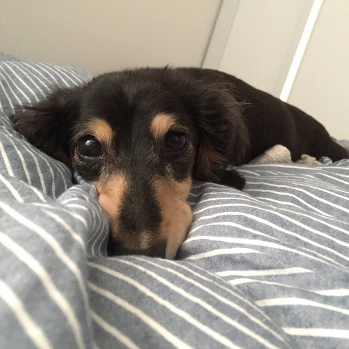 78a0b8be a20e 4270 920e 139aec3f094d