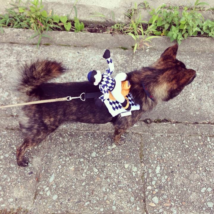 78a0e950 45eb 46c6 b871 0f2329975cec