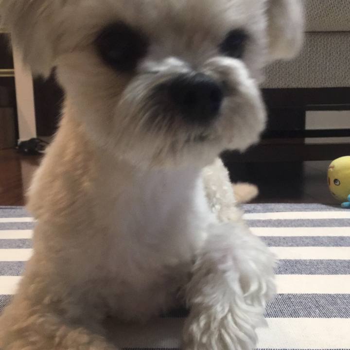 78a1308b ad6c 41c2 be42 af66743be1de