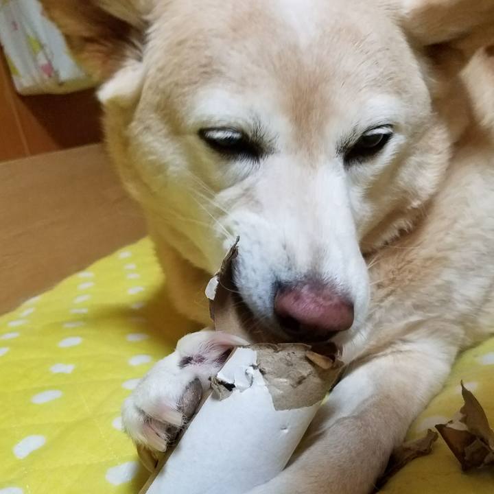 78a1542d 7b4c 49d9 ba05 ac952b4e33a2