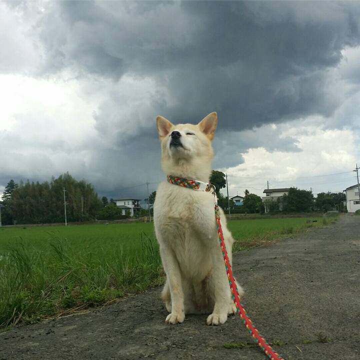 78a170dd 452a 4c85 9609 ac0380439949