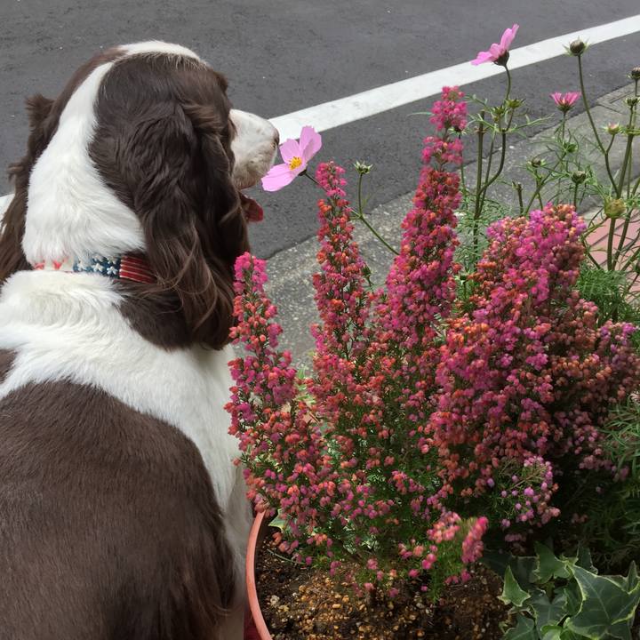 78a175d5 0e1a 4acb 90ca e5d539434a6d