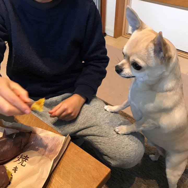 78a1875e f068 40b7 ae69 102e4b3edca6