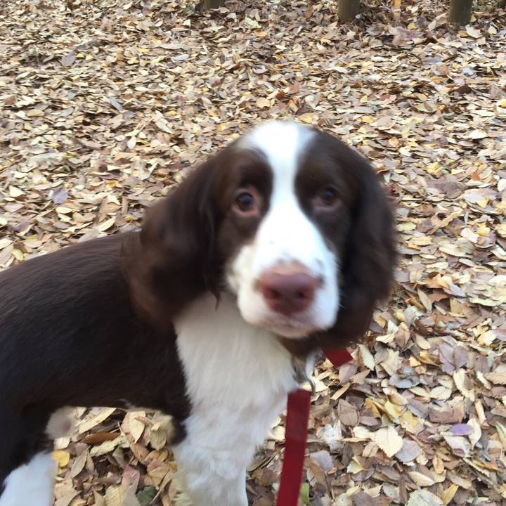 78a1e0c4 9123 4125 987f 75ae03c24707