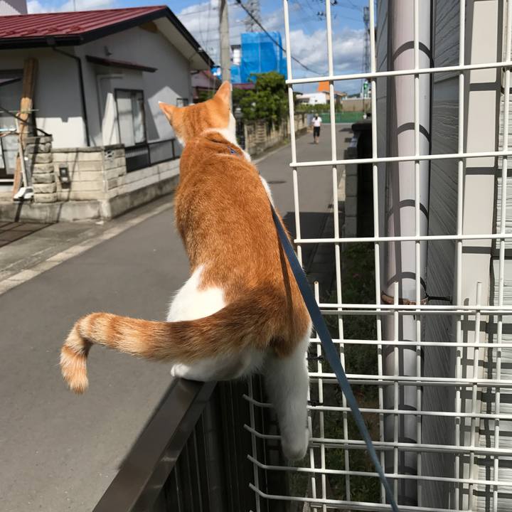 78a329bf 0041 4709 9de0 6b2bcf4a1336